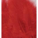 Feathers marabou, 15pcs/ red