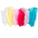 Feathers, size 11-17cm, 15pcs/ assorted colors